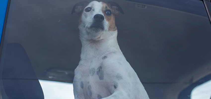 Car Lockout Solutions in Coronado, California